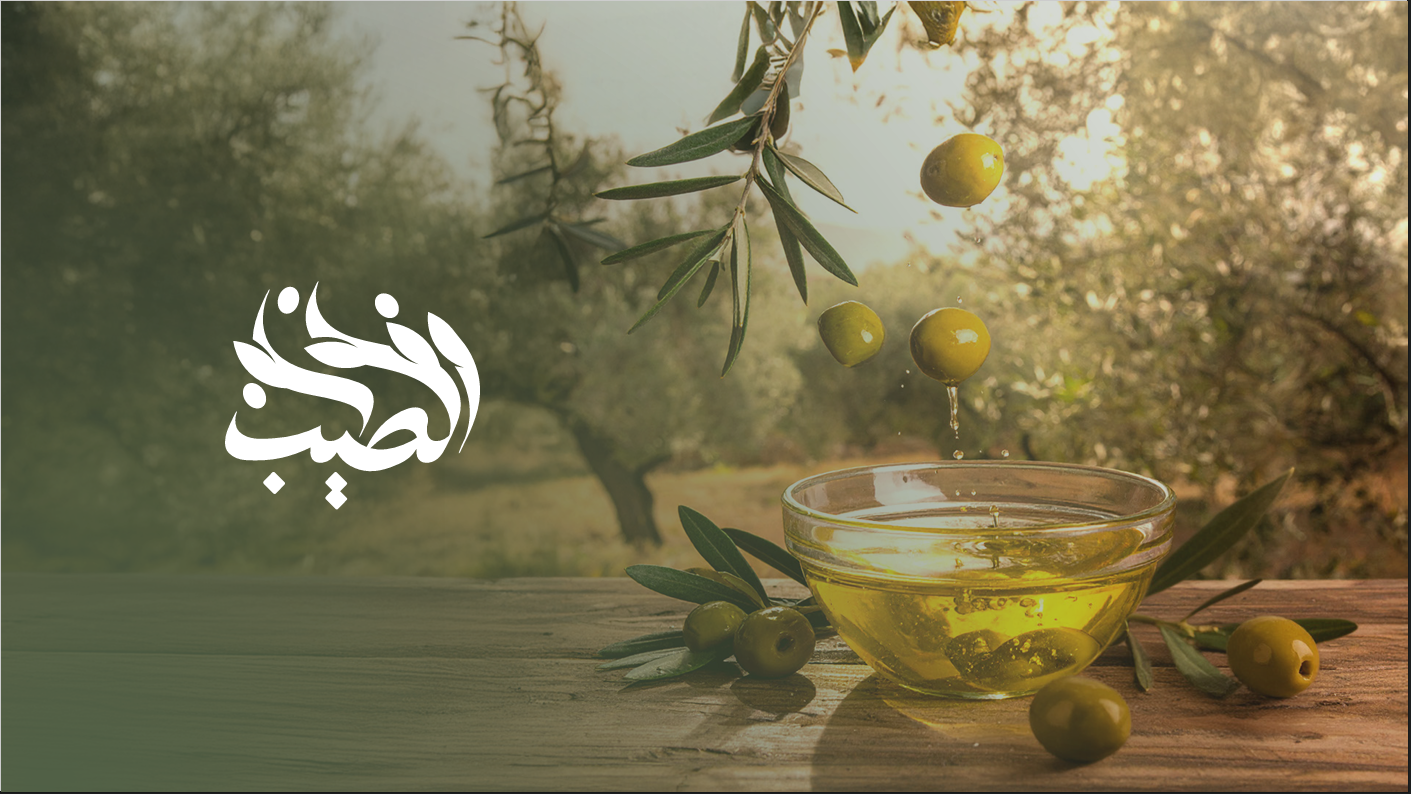 زيتون طبيعي على الشجرة